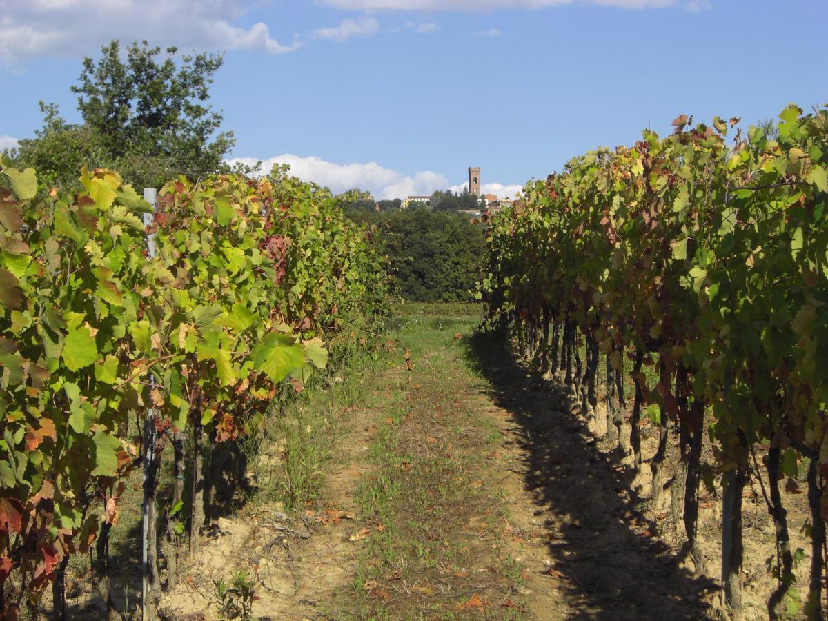 Buonamico Wine Resort Монтекарло Екстер'єр фото